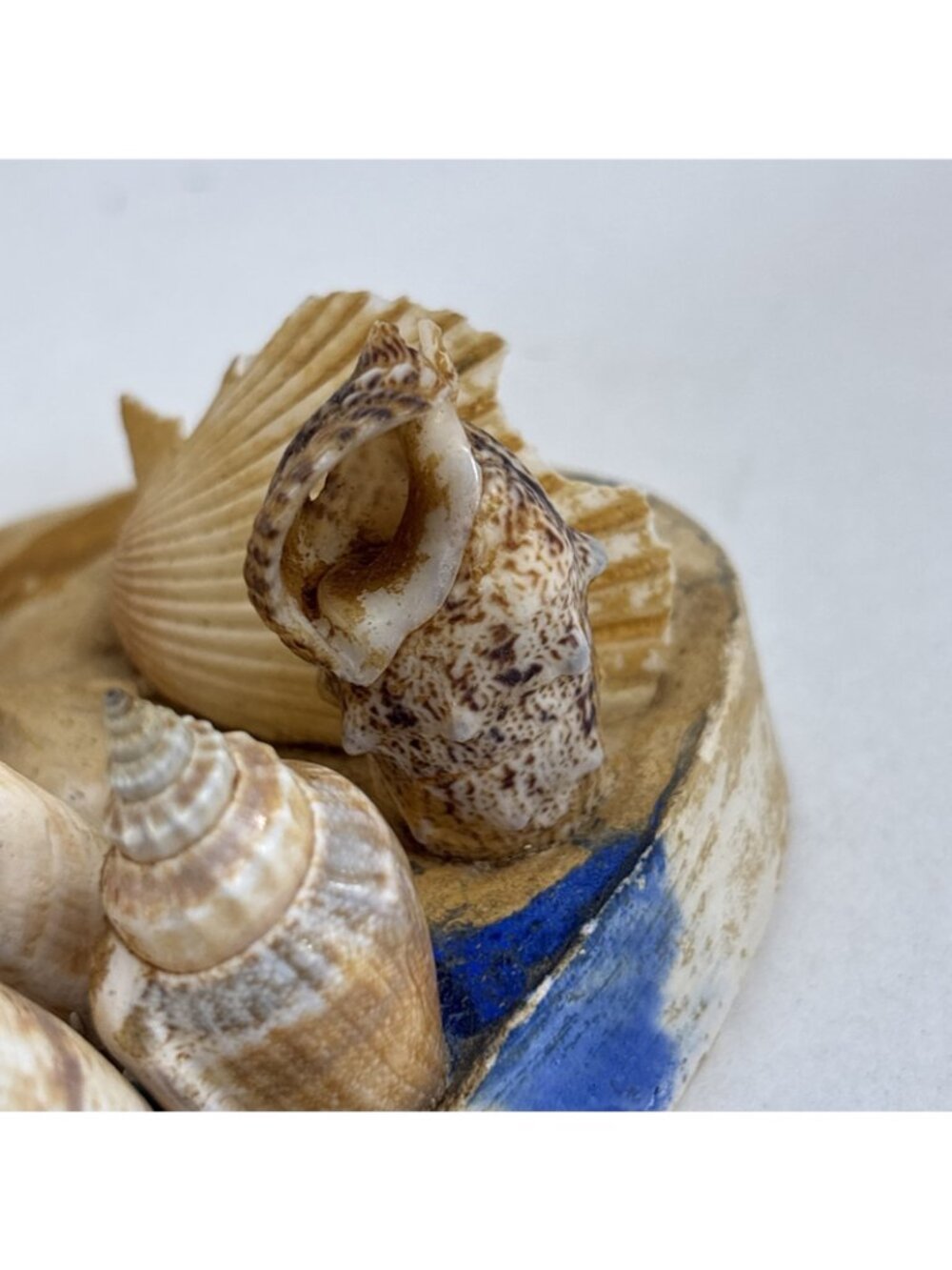 Vintage Seashell Sculpture Lamp Unique Home Decor Beach House (light Not Incl) - Picture 4 of 7